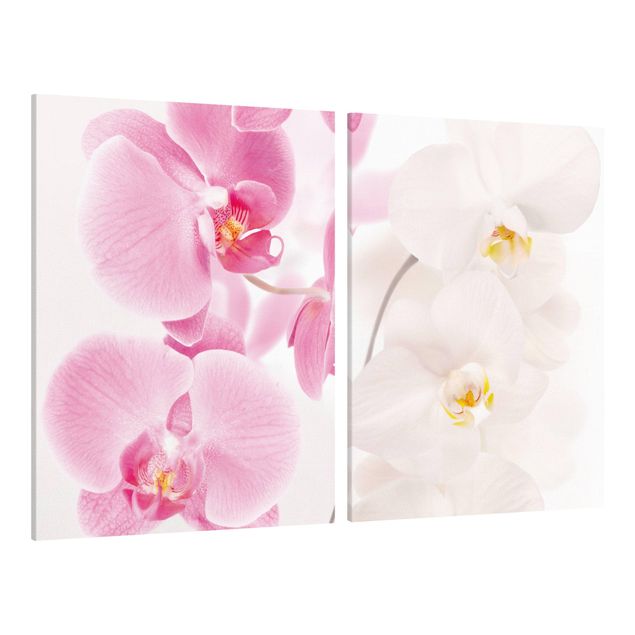 Leinwandbilder Wohnzimmer modern Delicate Orchids