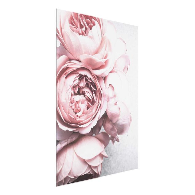 Natur Glasbilder Rosa Pfingstrosenblüten Shabby Pastell