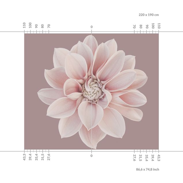 Duschrückwand - Dahlie Blume Lavendel Weiß Rosa