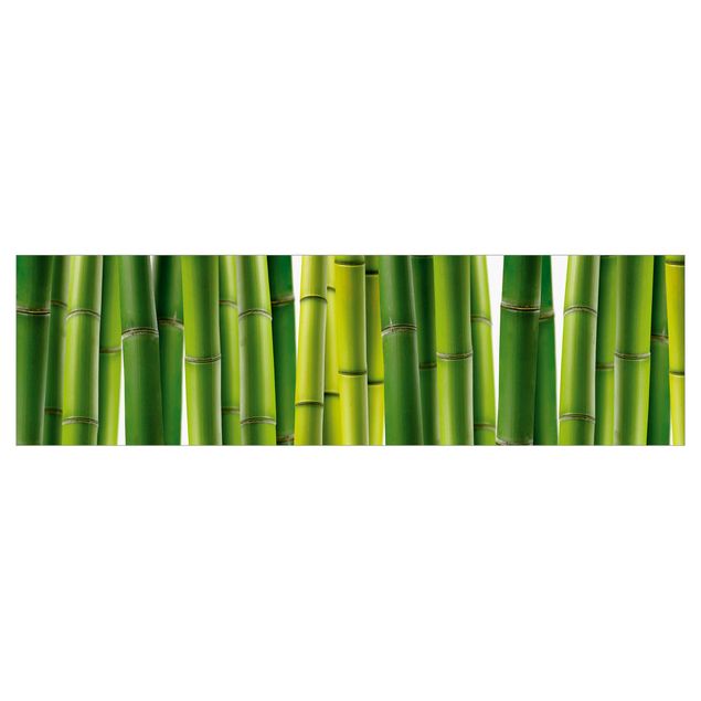 Küchenrückwand Grün Bambuspflanzen I