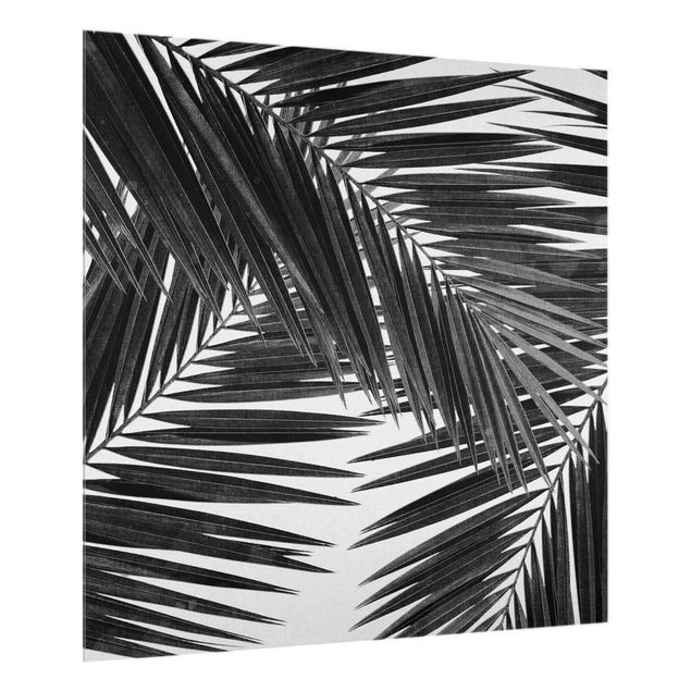 Küchenrückwand Glas Wald Blick durch Palmenblätter schwarz weiß