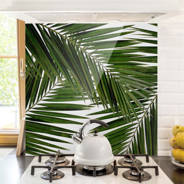 Spritzschutz Glas magnetisch Blick durch grüne Palmenblätter
