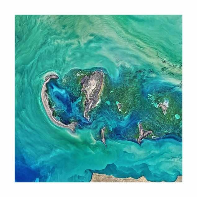Teppich Dschungel NASA Fotografie Kaspisches Meer