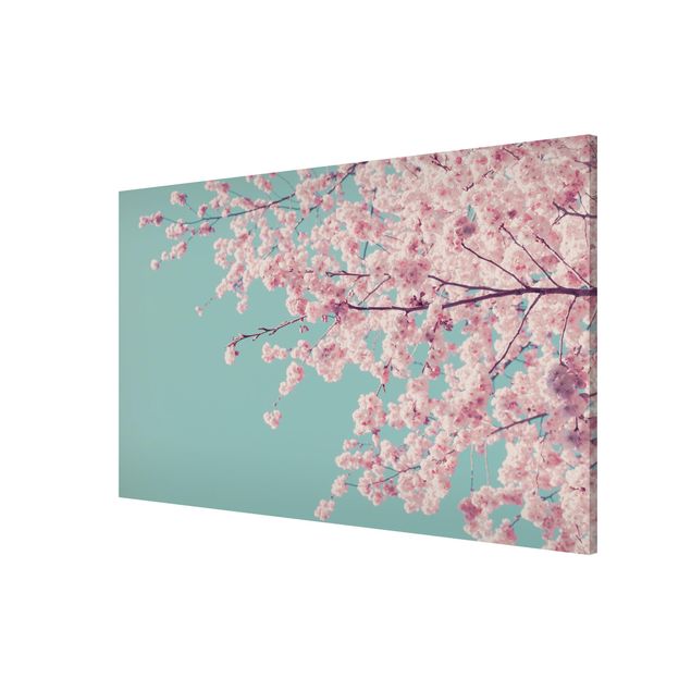 Bilder für die Wand Japanische Kirschblüte