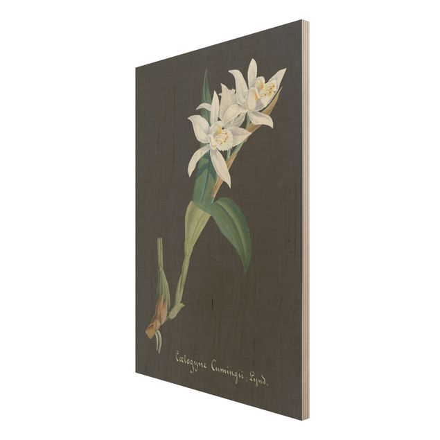 Moderne Holzbilder Weiße Orchidee auf Leinen II