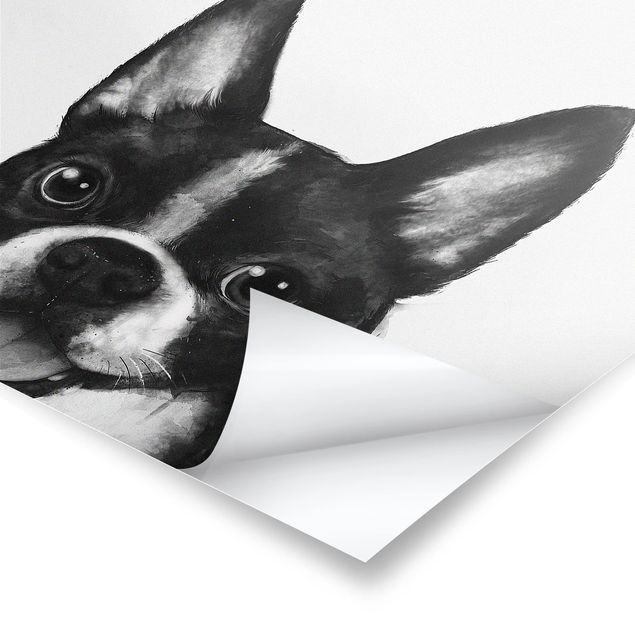 Poster kaufen Illustration Hund Boston Schwarz Weiß Malerei