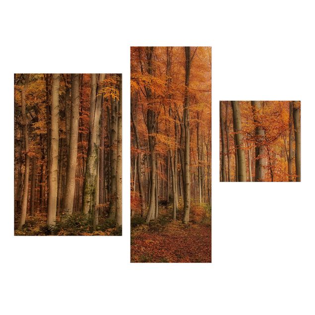 Bilder für die Wand Herbstspaziergang