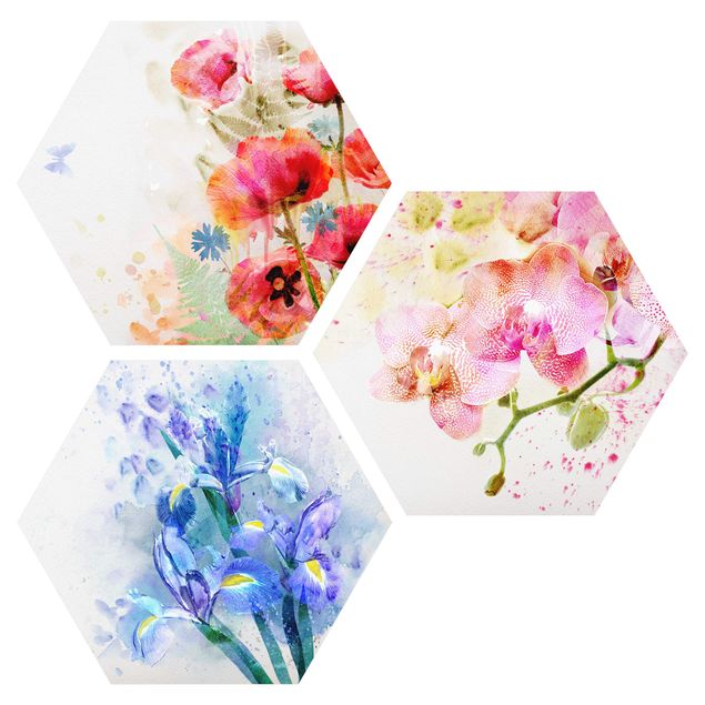 Hexagon Bild Alu-Dibond 3-teilig - Aquarell Blumen Trio
