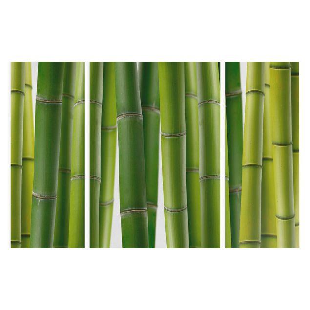 Leinwandbilder Wohnzimmer modern Bambuspflanzen