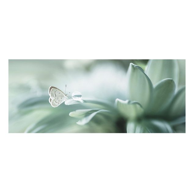 Foto auf Hartschaumplatte Schmetterling und Tautropfen in Pastellgrün