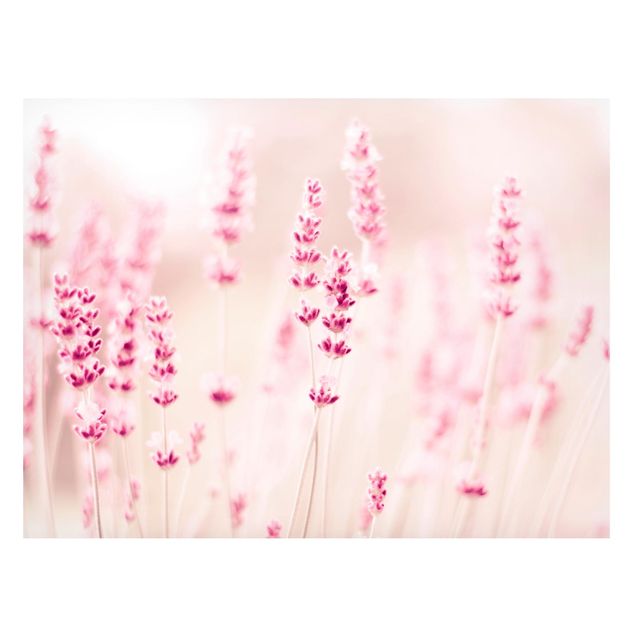 Magnettafel Blumen Zartrosaner Lavendel