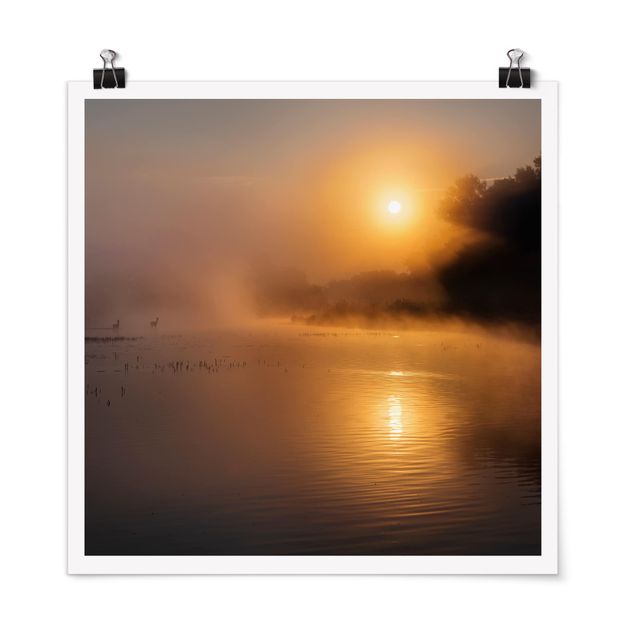 Poster - Sonnenaufgang am See mit Rehen im Nebel - Quadrat 1:1