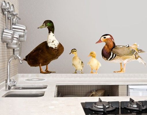 Wandtattoo Tiere No.722 The Duck Family