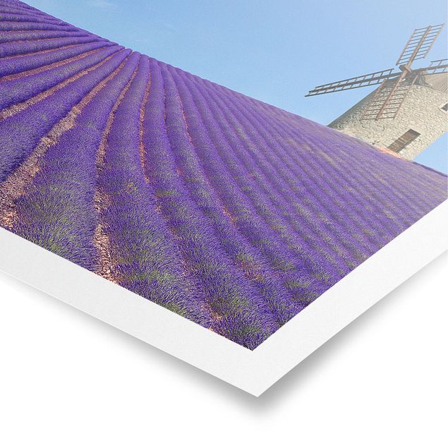 Poster - Lavendelduft in der Provence - Quadrat 1:1