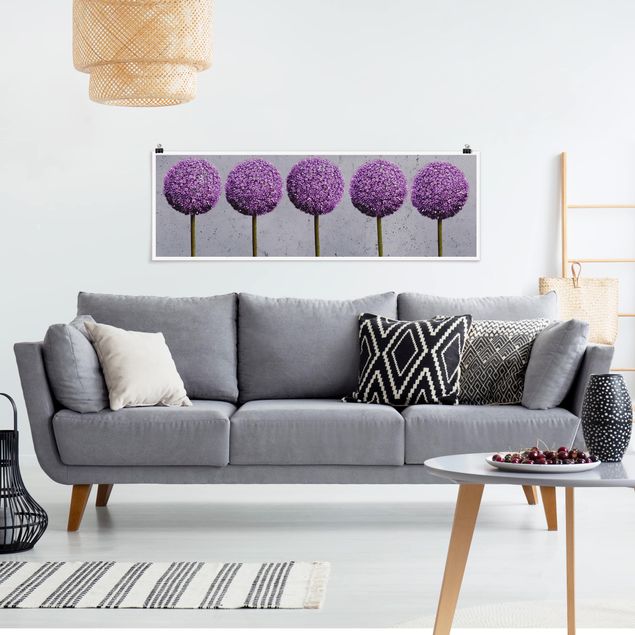 Bilder für die Wand Allium Kugel-Blüten