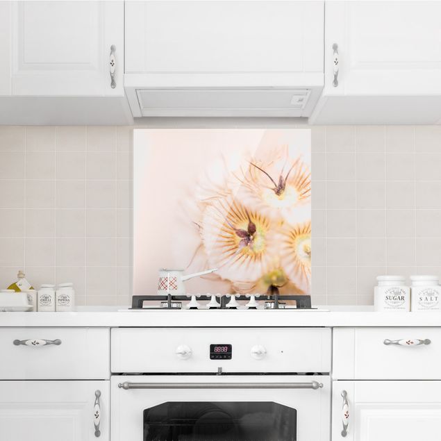 Glasrückwand Küche Blumen Pastellfarbener Blütenstrauß