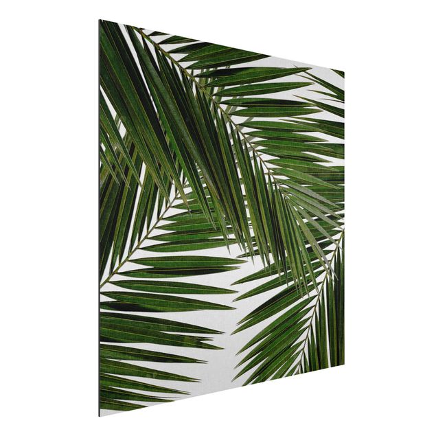 Schöne Wandbilder Blick durch grüne Palmenblätter