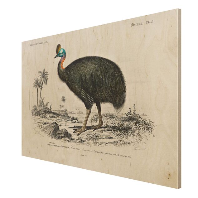 Moderne Holzbilder Vintage Lehrtafel Emu