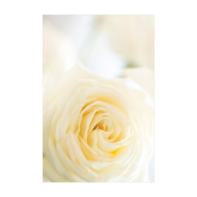 Teppich Blumen White Rose