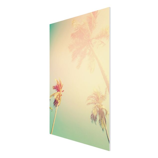 Forex Fine Art Print - Tropische Pflanzen Palmen bei Sonnenuntergang III - Hochformat 3:2
