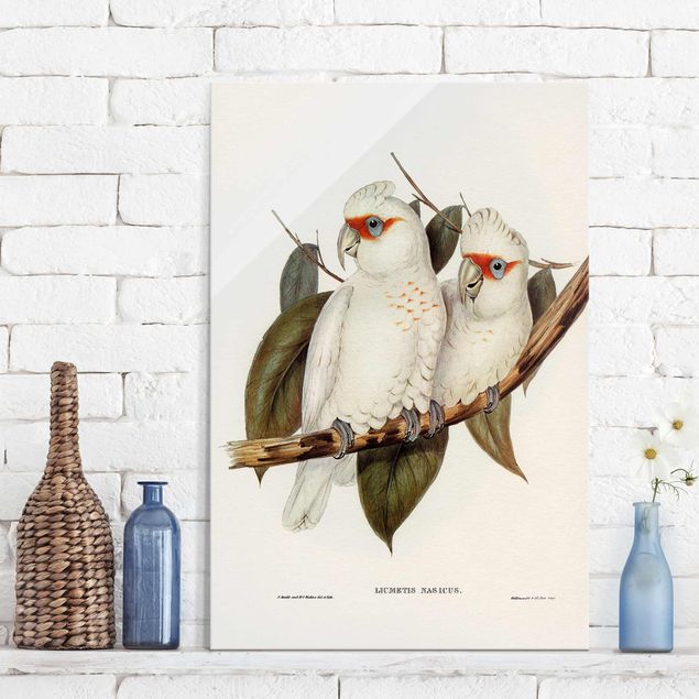 Wandbilder Tiere Vintage Illustration Weißer Kakadu