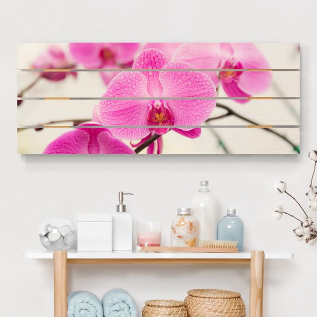 Holzbilder mit Blumen Nahaufnahme Orchidee