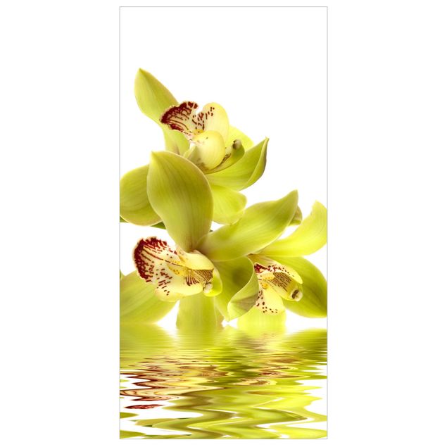 Raumteiler - Splendid Orchid Waters 250x120cm