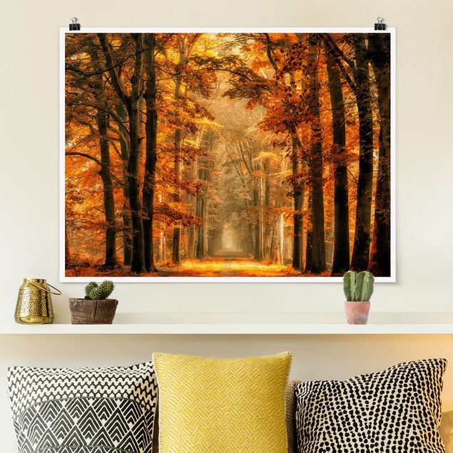 Poster Natur Märchenwald im Herbst