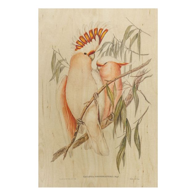 Holzbilder mit Blumen Vintage Illustration Rosa Kakadu