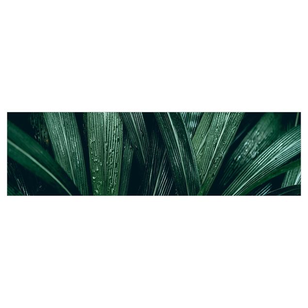 Küchenrückwand Grün Grüne Palmenblätter