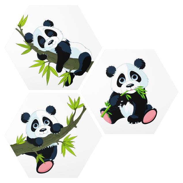 Hexagon Bilder Pandabären Set