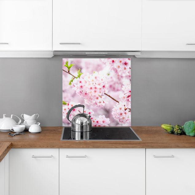 Küchenrückwand Glas Motiv Blumen Japanische Kirschblüten