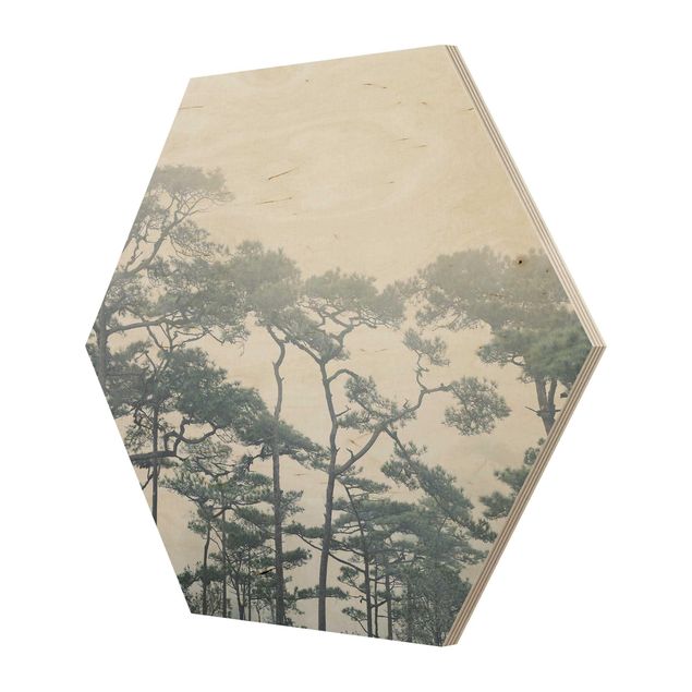 Hexagon Bild Holz - Baumkronen im Nebel
