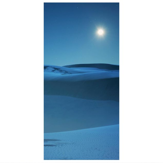 Raumteiler - Vollmond über der Wüste 250x120cm
