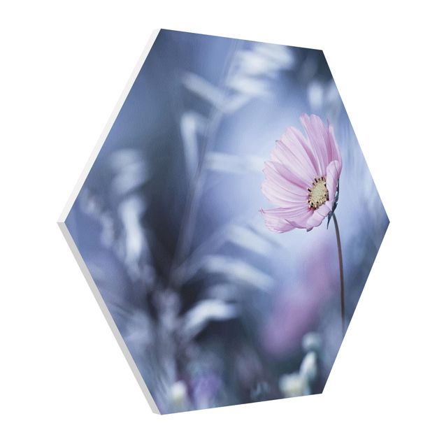 Hexagon Bild Forex - Blüte in Pastell