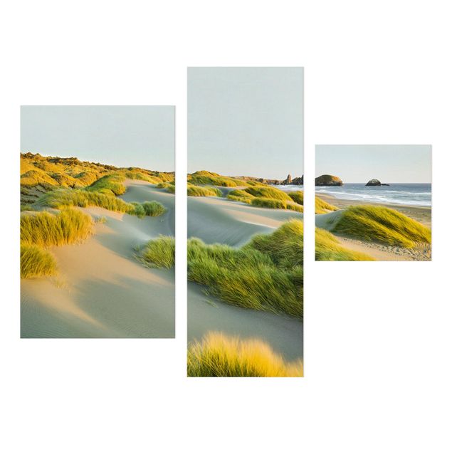 Leinwandbilder Strand und Meer Dünen und Gräser am Meer