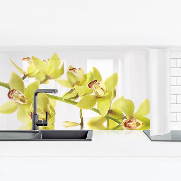Küchenrückwände selbstklebend Elegant Orchid Waters