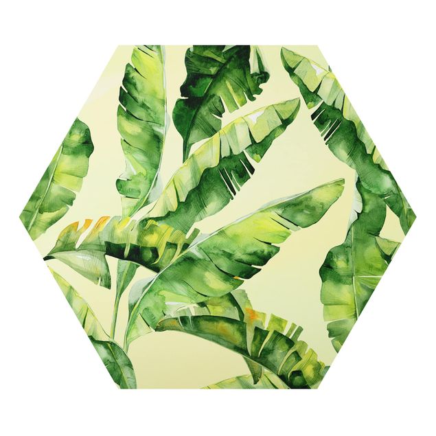 Hexagon Bild Alu-Dibond - Bananenblätter Aquarell