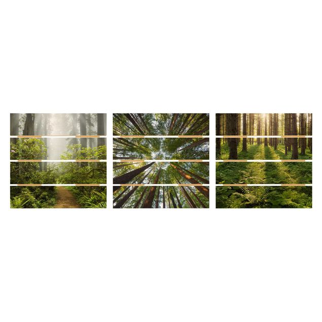 Holzbild 3-teilig - Wald Trio - Quadrate 1:1