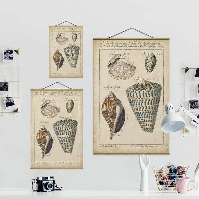 Stoffbild mit Posterleisten - Vintage Muschel Zeichnung Bunte Muster - Hochformat 2:3