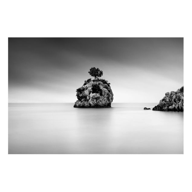 Magnettafel Strand Felseninsel im Meer Schwarz-Weiß
