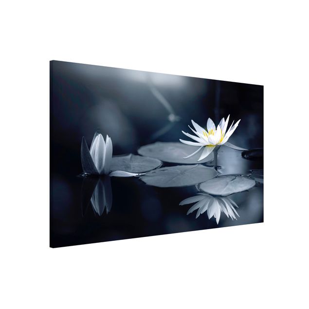 Magnettafel Büro Lotus Spiegelung im Wasser