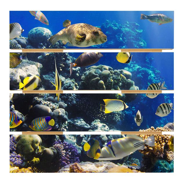 Holzbilder Underwater Reef
