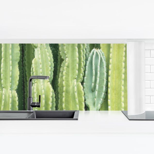 Küchenrückwände selbstklebend Kaktus Wand