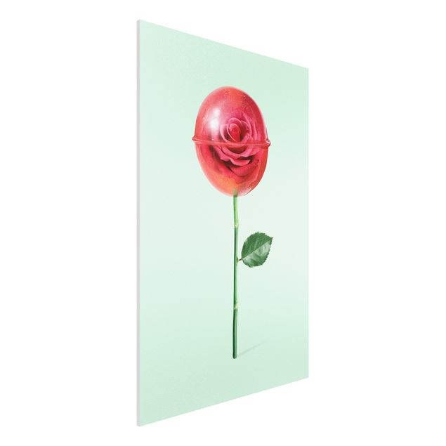 Foto auf Hartschaumplatte Rose mit Lollipop