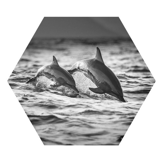 Hexagon Bild Forex - Zwei springende Delfine