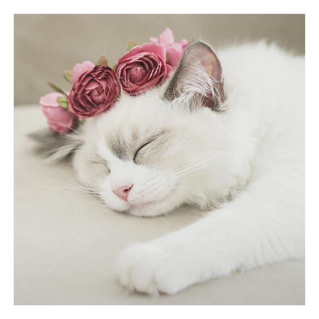 Bilder für die Wand Schlafende Katze mit Rosen