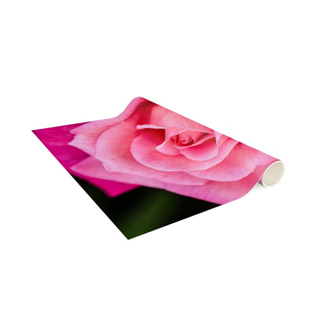 Teppich modern Pinke Rosenblüte vor Grün