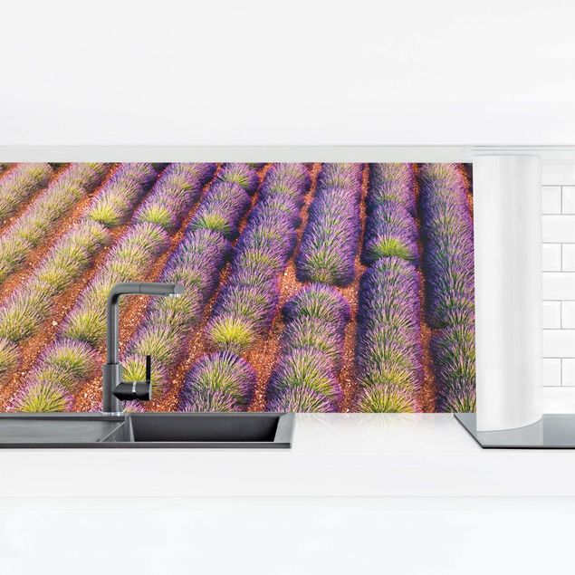 Küchenrückwand Glas Blumen Malerisches Lavendelfeld