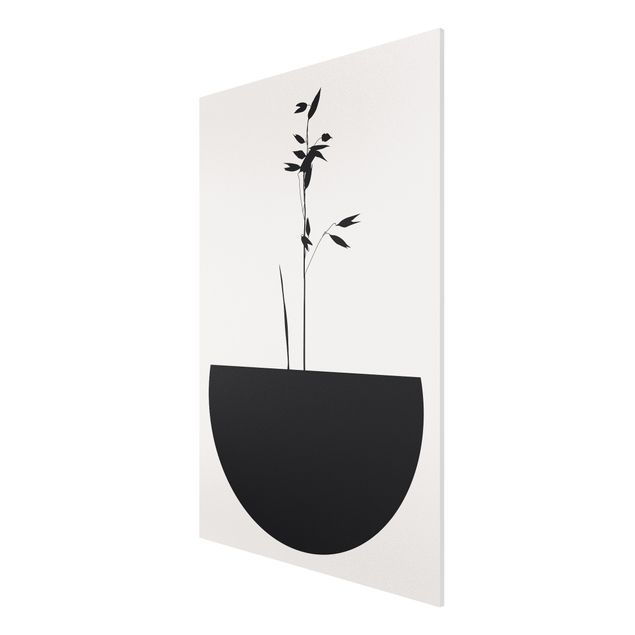 Forex Fine Art Print - Grafische Pflanzenwelt - Zartes Wachstum - Hochformat 3:2